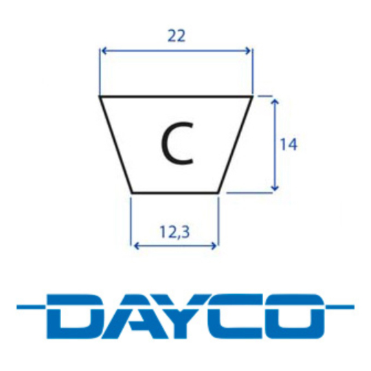 205.C105